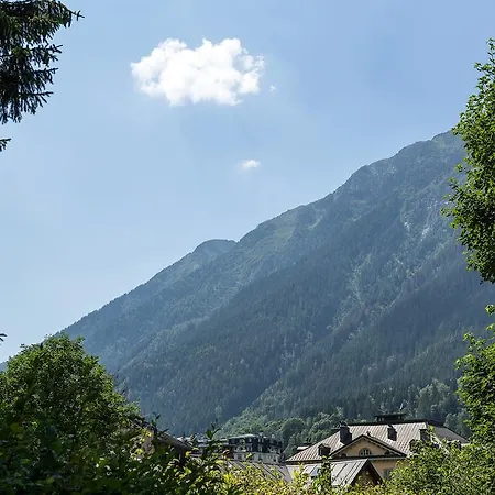 Loppe - Mountain Four-bedroom Hidden Gem * Chamonix