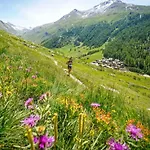 Villa Loppe - Mountain Four-bedroom Hidden Gem Chamonix