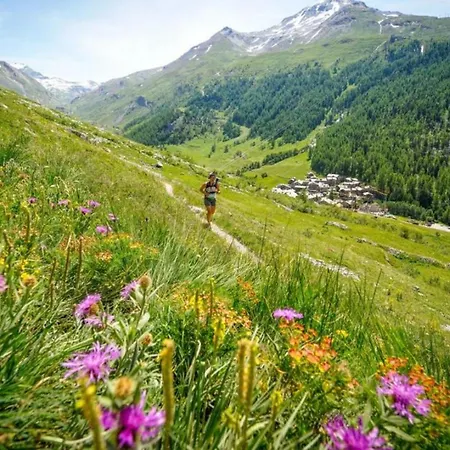 Вилла Loppe - Mountain Four-bedroom Hidden Gem Шамони