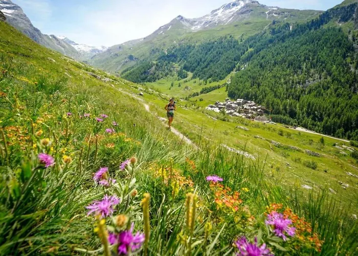 Villa Loppe Chamonix